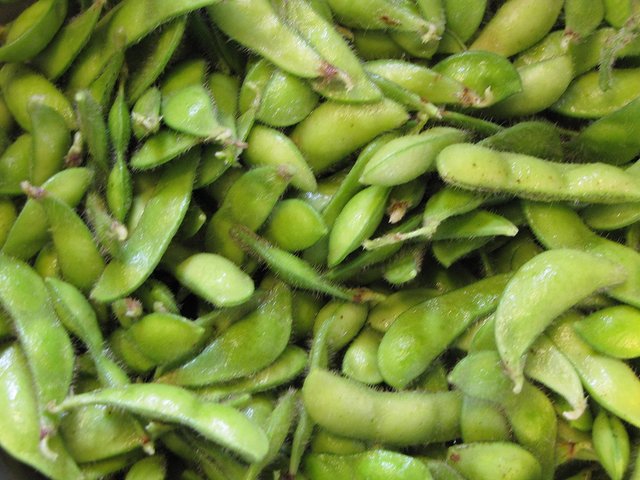 US soya bean exports hit by tariffs