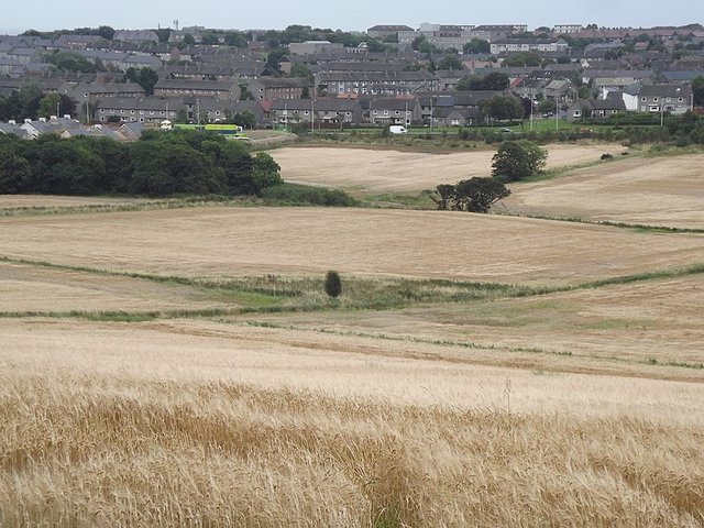 Preserving the green belt Photo by Colin Smith